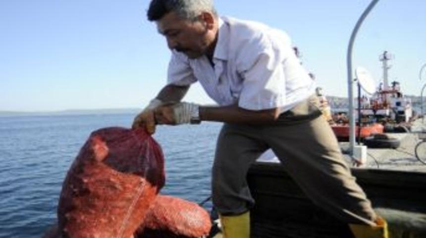 &Ccedil;anakkale&rsquo;de Ka&ccedil;ak Midye Operasyonu