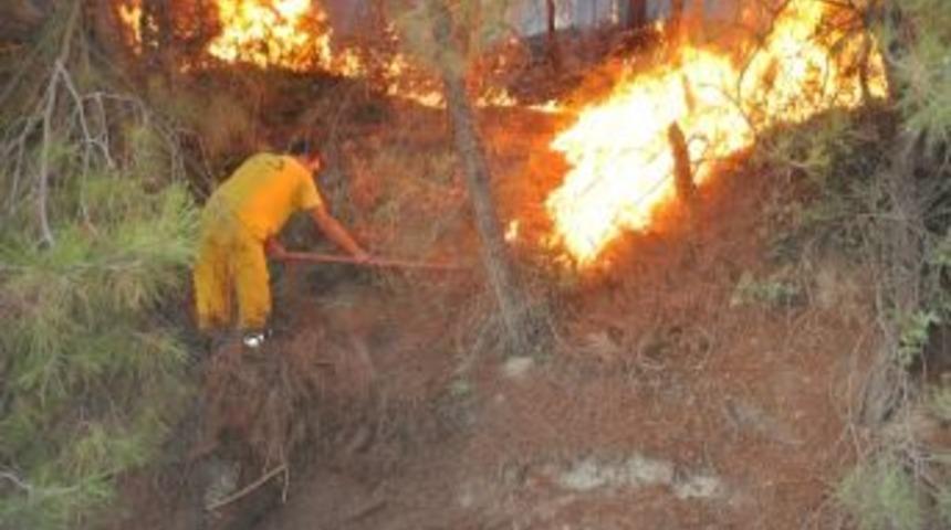 Soma'da Orman Yangını
