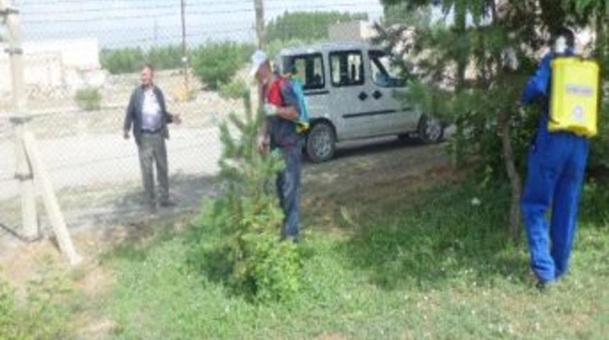 Aziziye İla&ccedil;lanıyor