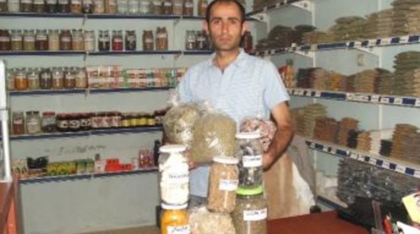 Şifalı Bitkiler Yok Satıyor