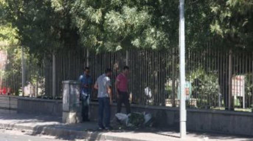 Bing&ouml;l&rsquo;de Bomba Paniği