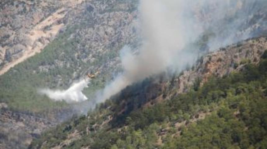 Mersin'deki Orman Yangını