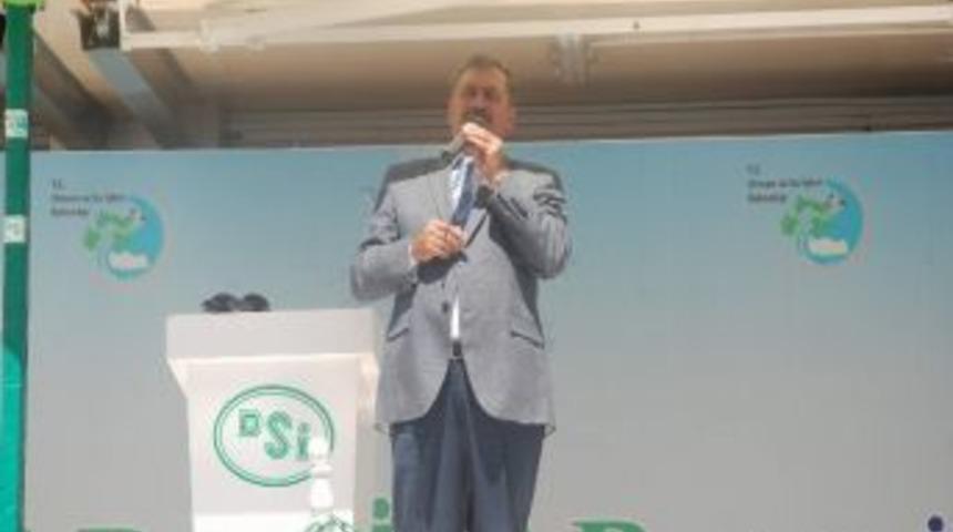 T&uuml;rkiye&rsquo;deki Orman Yangınları