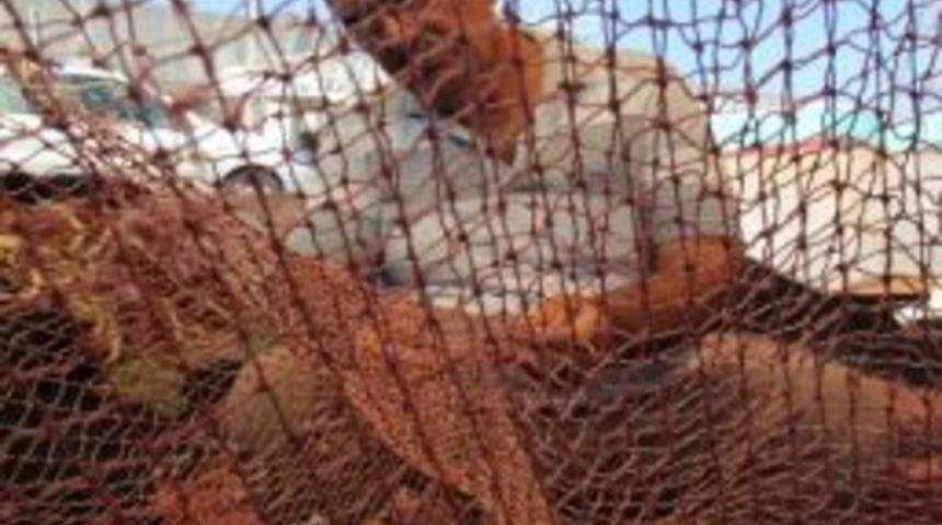 Karadeniz&rsquo;de Balık Sezonu Sancılı Başlıyor