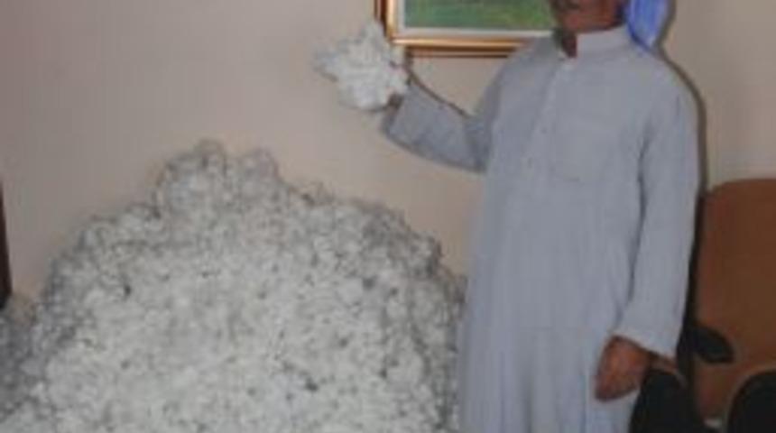 Pamukta Kaliteyi Yakalayan &Ccedil;ift&ccedil;inin Y&uuml;z&uuml; G&uuml;lecek