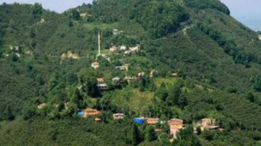 Ordu&rsquo;da 412 K&ouml;y&uuml;n Yerleşik Alan Tespitleri Yapıldı