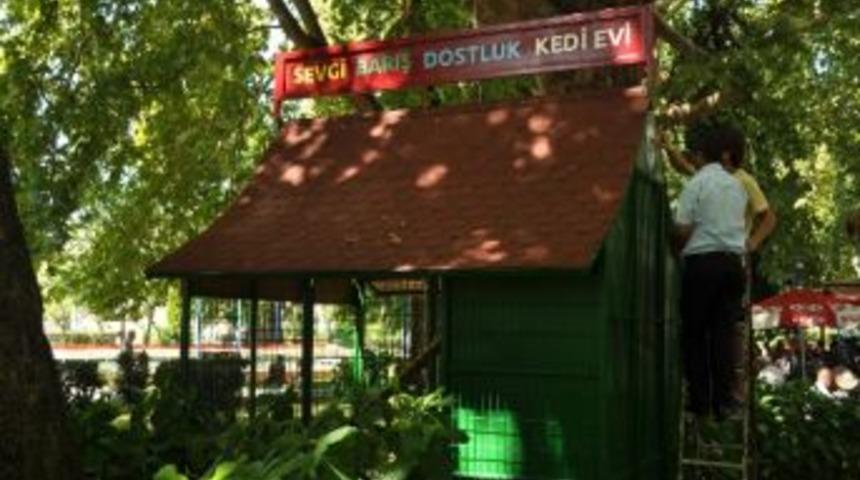 Kdz. Ereğli&rsquo;de İkinci Kedi Beslenme &Uuml;nitesi A&ccedil;ılıyor