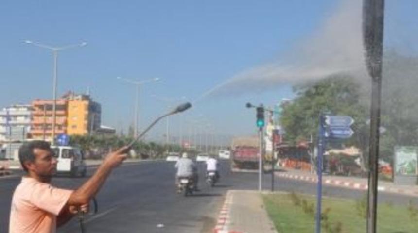 Turgutlu Belediyesi Trafik Işık Ve Tabelalarını Temizliyor