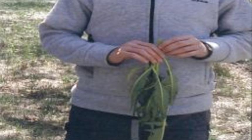 3 G&uuml;nd&uuml;r Aranan Tayyip'in Cesedi Bulundu