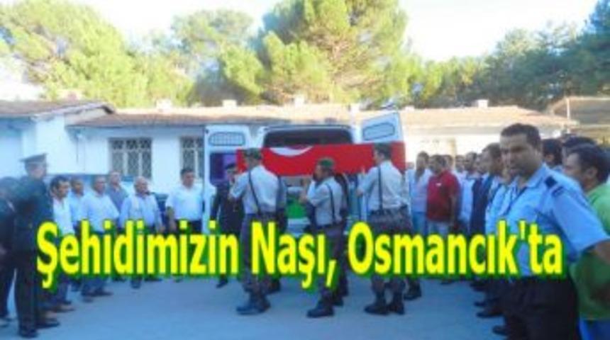 Şehidimizin naşı, Osmancık'ta