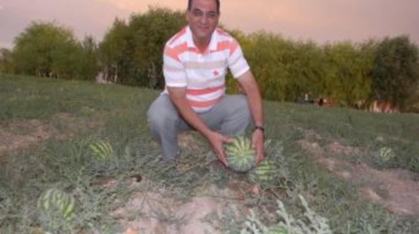 Gidya Tarıma Kazandırılmalı