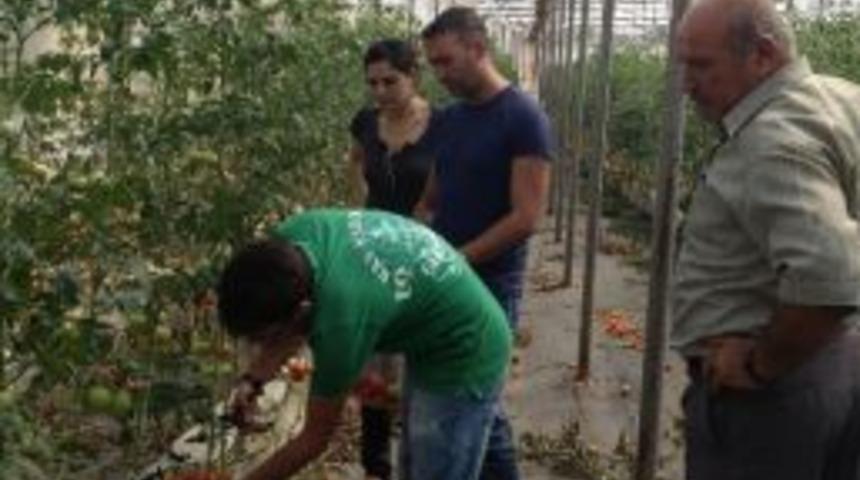 Korkuteli&rsquo;nde Gıda Denetimleri Arttı