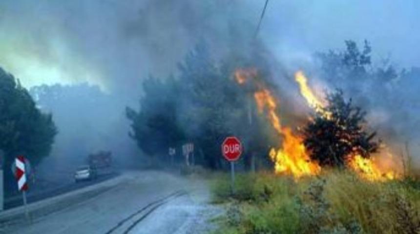 Alınan &Ouml;nlemlerle Orman Yangınına 15 Dakika M&uuml;dahale Edilecek