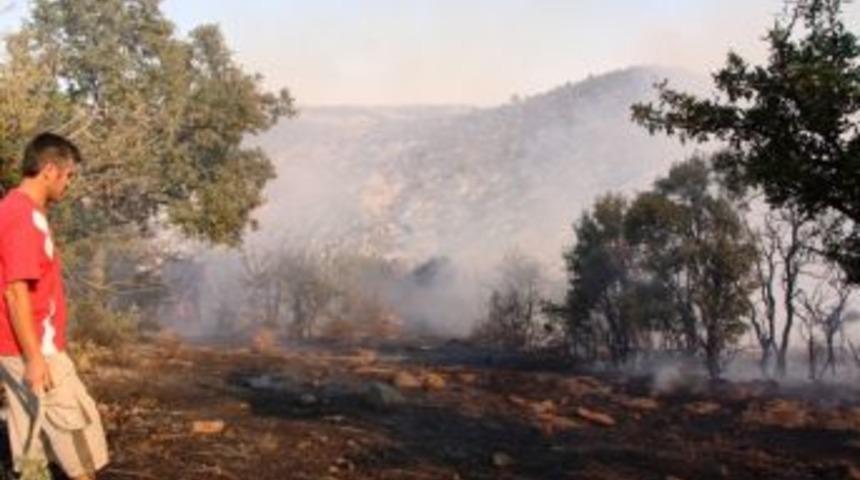 Sarıg&ouml;l&rsquo;deki Orman Yangını S&ouml;nd&uuml;r&uuml;ld&uuml;