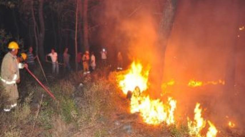Milas&rsquo;taki İki Orman Yangında Kundaklama Ş&uuml;phesi