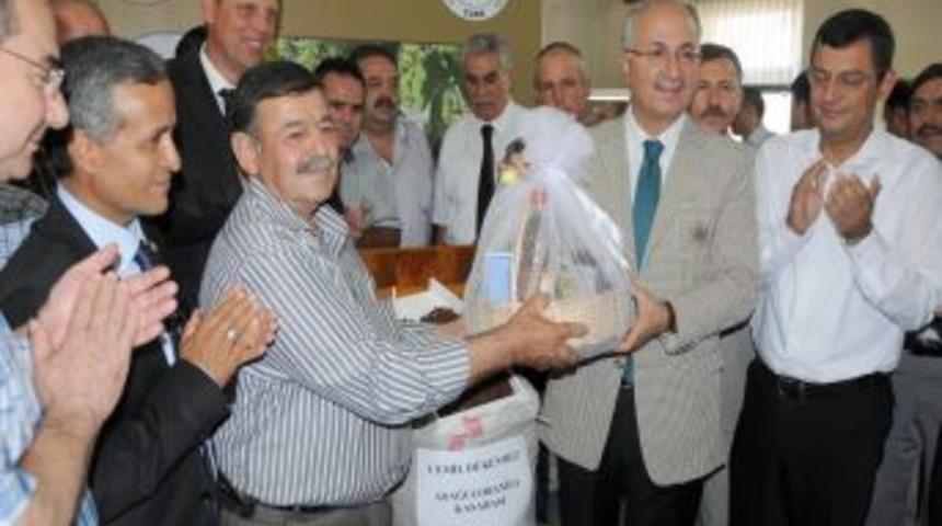 Manisa&rsquo;nın &Ccedil;ekirdeksiz Kuru &Uuml;z&uuml;m Ihracatı 500 Milyon Doları Ge&ccedil;ti