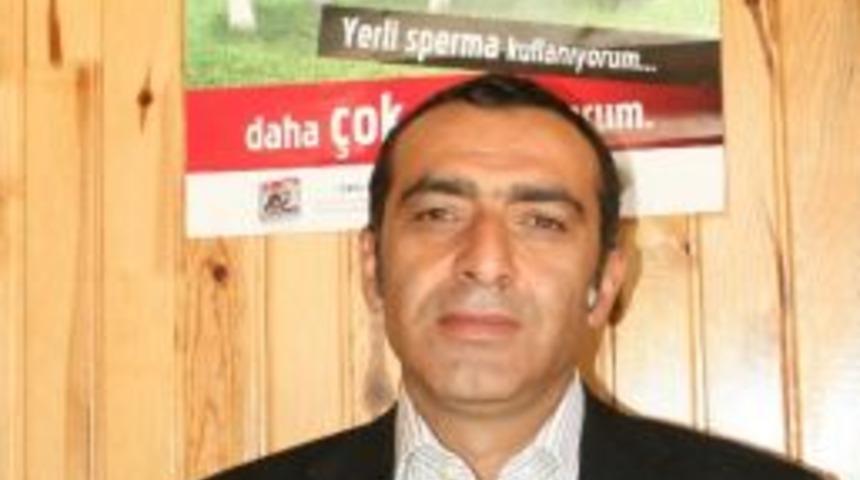 Damızlık Sığır Yetiştiricileri Birliği Dertli