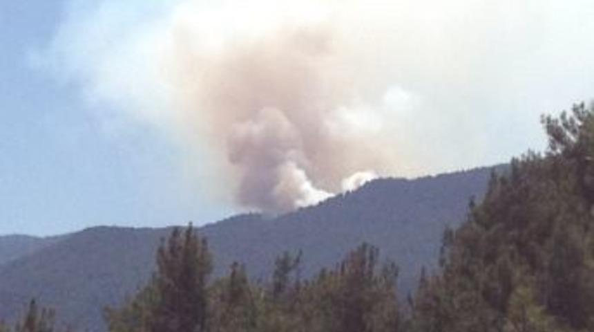 Karab&uuml;k'te Orman Yangını