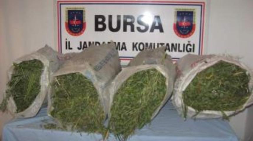 Jandarmadan Hint Keneviri Operasyonu