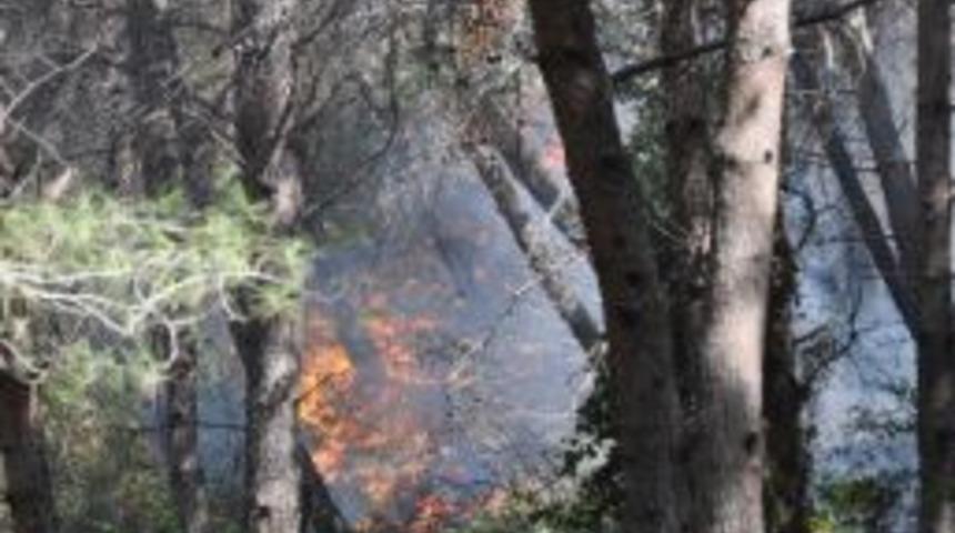 Osmaniye&rsquo;de Orman Yangını