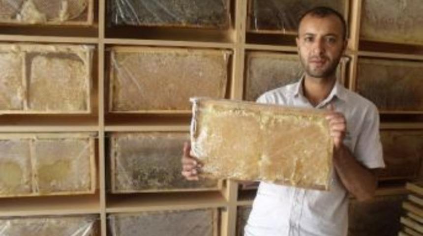 Balı Bingöl’den Alın