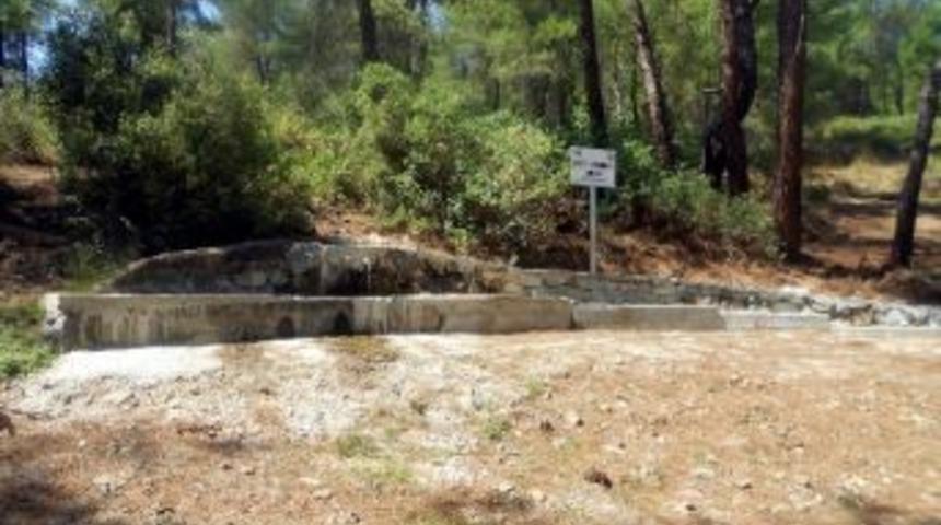 Ormanlara Yabani Hayvanlar İ&ccedil;in Sulak Noktaları Yapılıyor