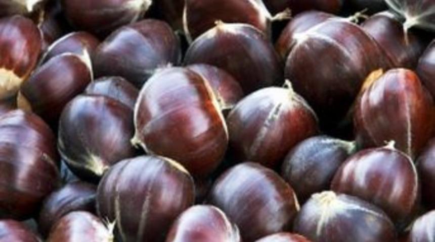 Kestanenin Faydaları Saymakla Bitmiyor