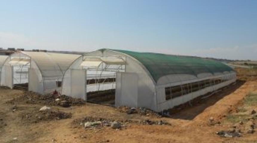 Sera Projesi Devam Ediyor