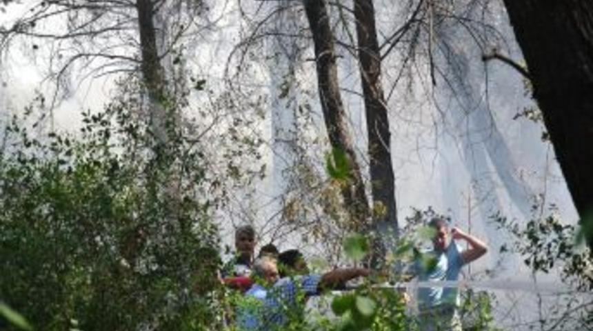 Osmaniye'de Orman Yangını: 5 Hektarlık Alan Yandı