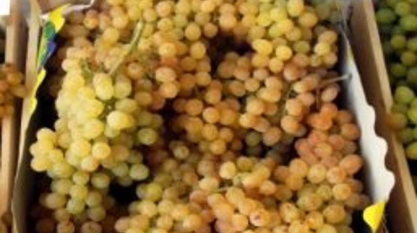 Taytan Kasabası &Uuml;z&uuml;m Festivaline Hazır