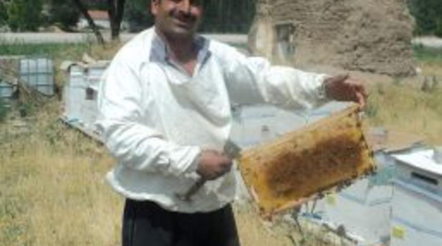 Boğazlıyan&rsquo;da Bal &Uuml;retimi Yaygınlaşıyor