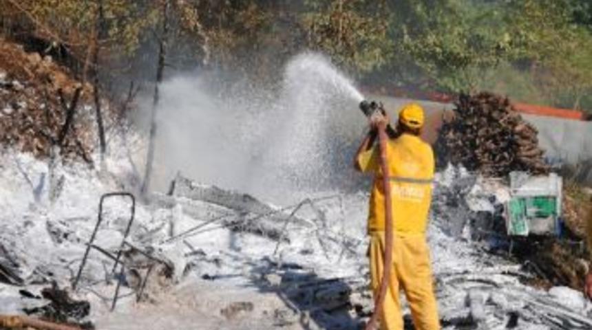 Yangında Arı Kovanları K&uuml;l Oldu
