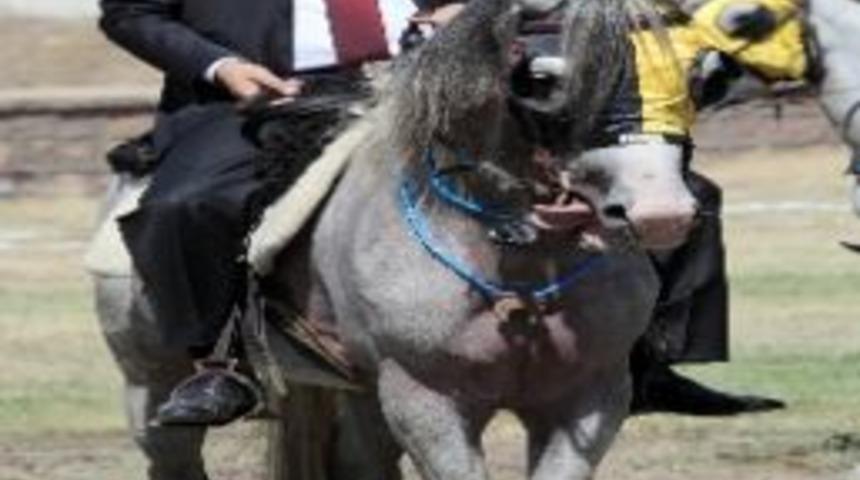 Ahlat'ta 'cirit' Heyecanı