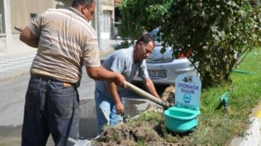 S&ouml;ke Belediyesi'nden Sokak Hayvanları İ&ccedil;in Otomatik Suluk