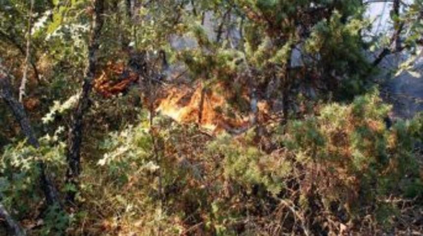 Bilecik&rsquo;te Orman Yangını