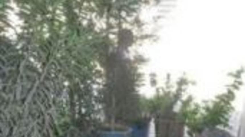 Ş&uuml;pheli elektrik s&uuml;p&uuml;rgesi paniği