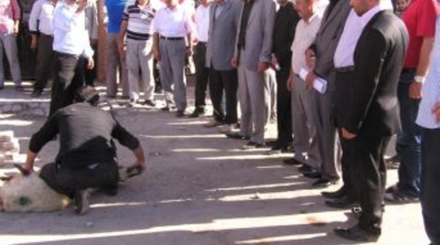 Ter&ouml;rden Akan Kanın Durdurulması İ&ccedil;in Kurban Kesildi