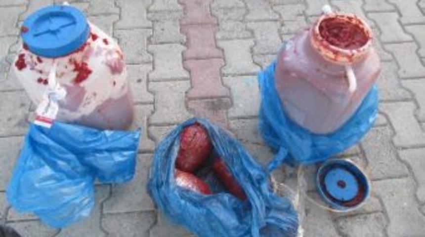 Sal&ccedil;a Bidonlarından Esrar &Ccedil;ıktı