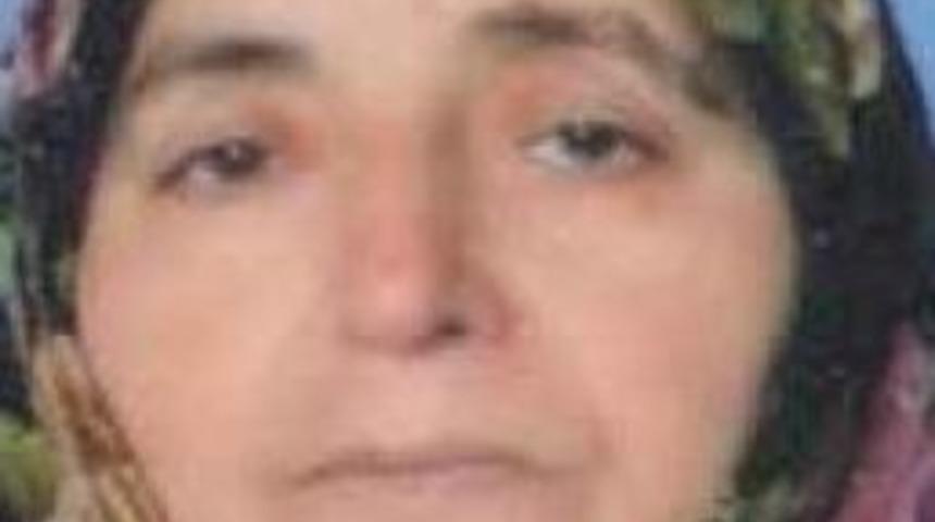 Arıların Soktuğu Kadın &Ouml;ld&uuml;