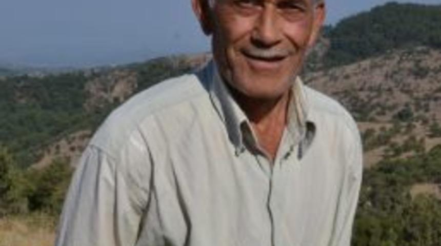 65 Yaşındaki Arıcıdan Bal Tavsiyesi