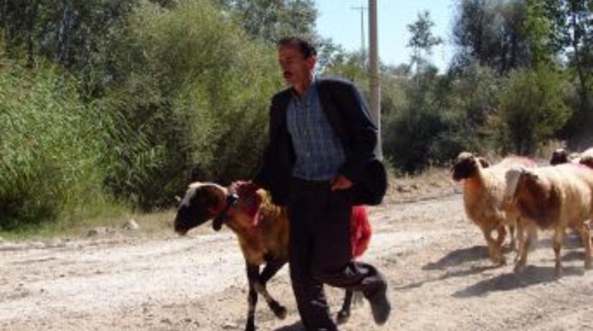 839. &lsquo;Sudan Koyun Ge&ccedil;irme Yarışması&rsquo; Yapıldı