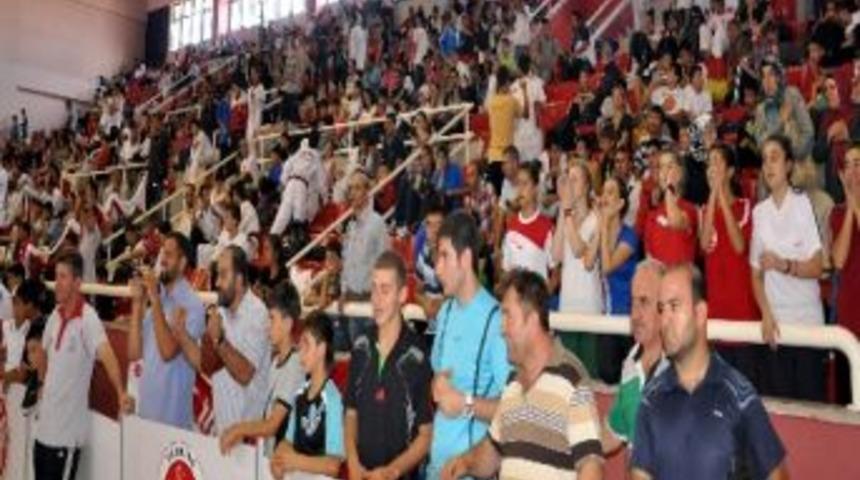 Yıldızlar T&uuml;rkiye Tekvando Şampiyonası