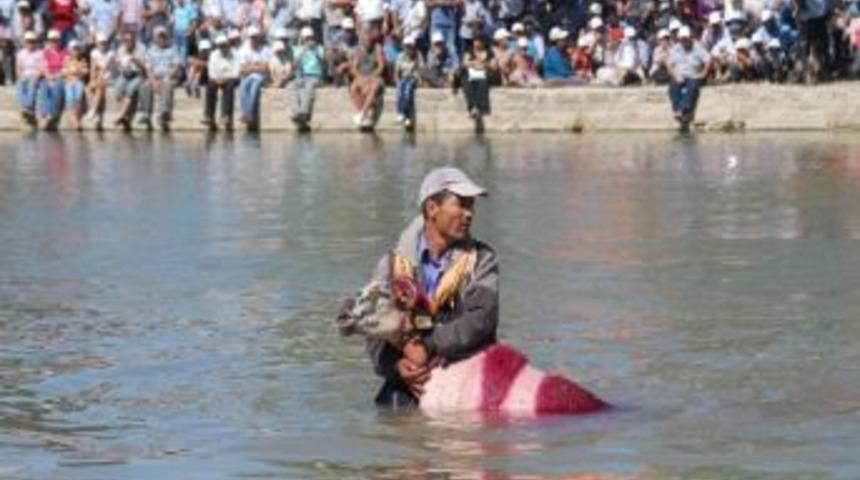 Sudan Koyun Ge&ccedil;irme Yarışı