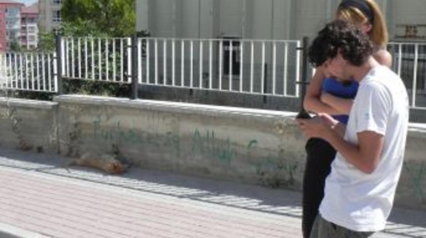 Balkonda Asılı K&ouml;pek Leşi Bulundu