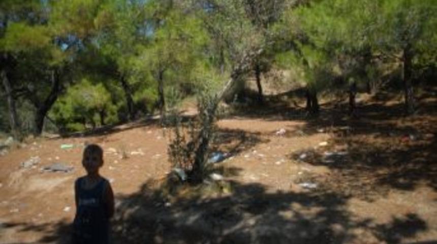 &Ccedil;anakkale'de Piknik Yerleri &Ccedil;&ouml;pten Ge&ccedil;ilmiyor