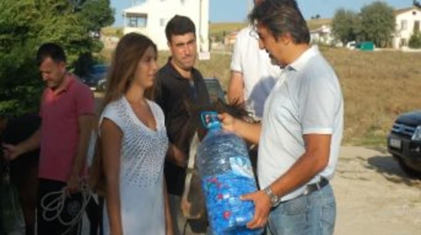 Mavi Kapak Getirene At Gezisi Bedava