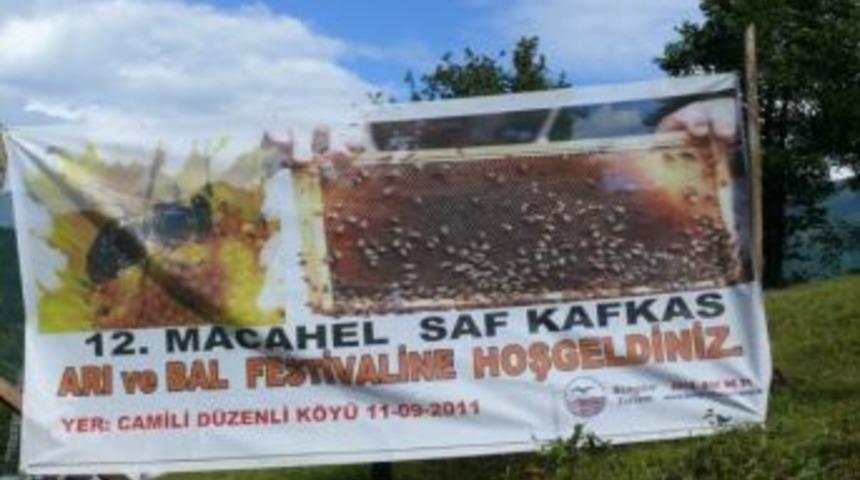Macahal Saf Kafkas Arı Ve Bal Festivali’ne Sis Engeli