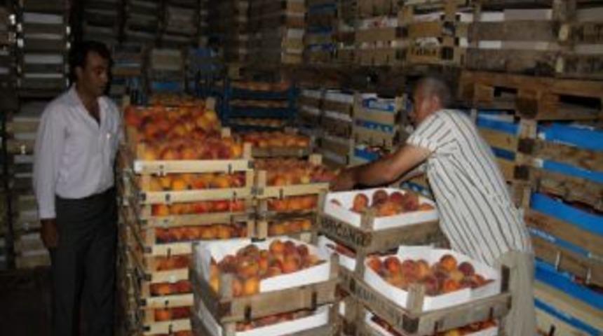 Şeftali &Uuml;reticileri Kredi Bor&ccedil;larının Ertelenmesini İstiyor