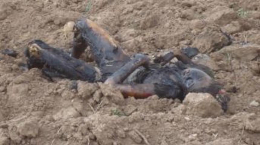 Petrol Yangını Kontrol Altına Alındı