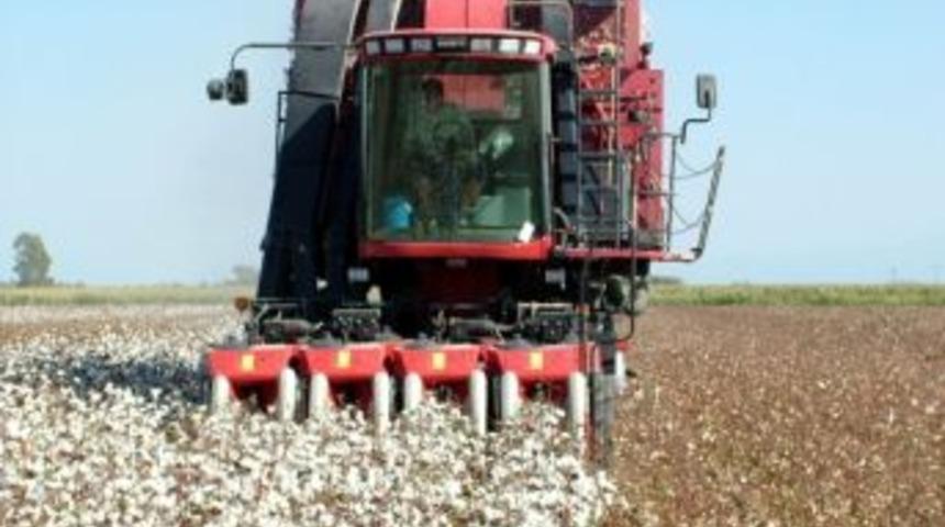 &Ccedil;ukobirlik Pamuk Alımına Hazır
